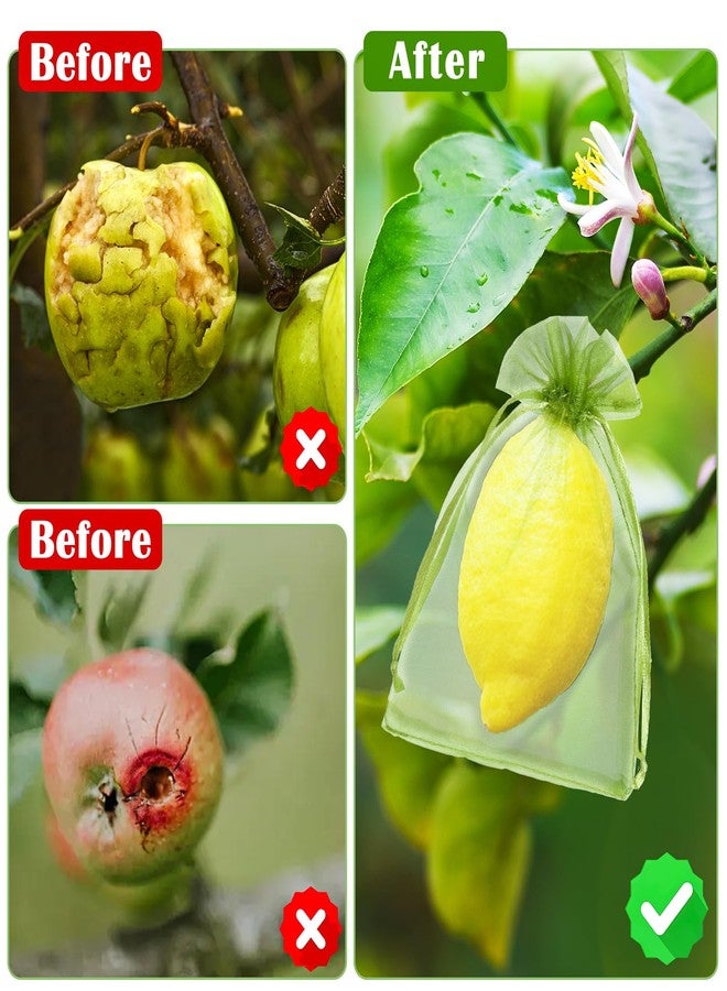 FloraSea 50 PCS 4X6 inches Fruit Protection Bags, Fruit Bags for Fruit Trees, Green Netting Fruit Cover Bags Drawstring Mesh Fruit Protectors Pest Barrier for Fruit Trees Veggies Garden - Image 5